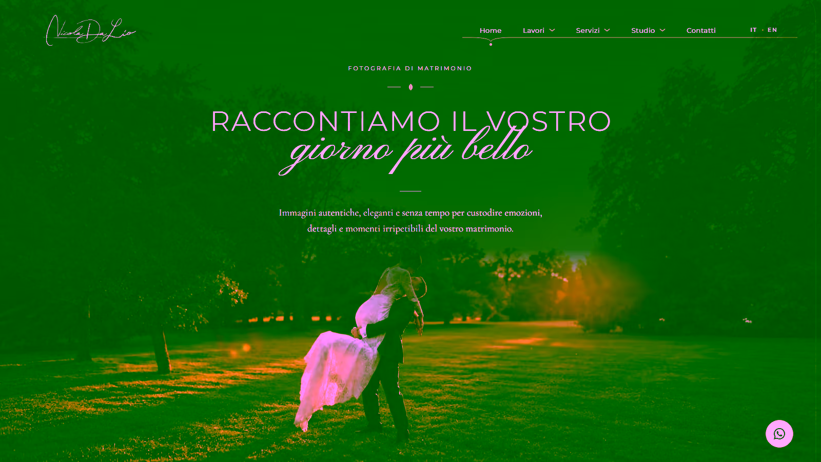 Home page del sito di Nicola Da Lio realizzato da OVERS MEDIA